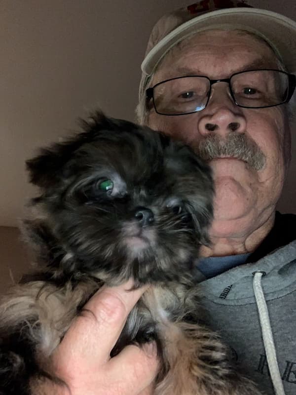 Customer photo of Shih Tzu puppy from Greg B.