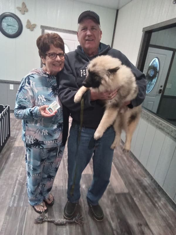 Customer photo of Keeshond puppy from Janet G.