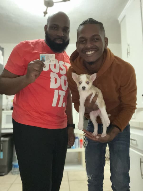 Customer photo of Pomsky puppy from Curt & Matthew S. 