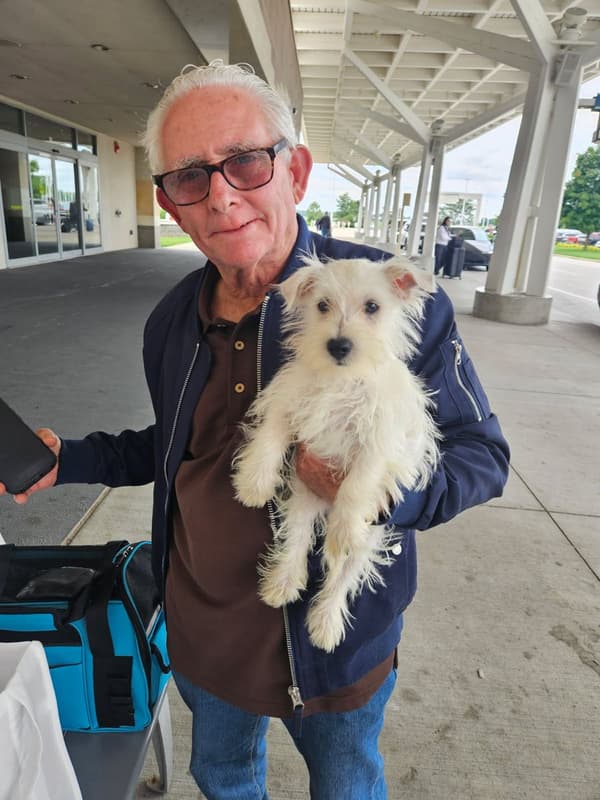 Customer photo of West Highland White Terrier - Westie puppy from Janet D.