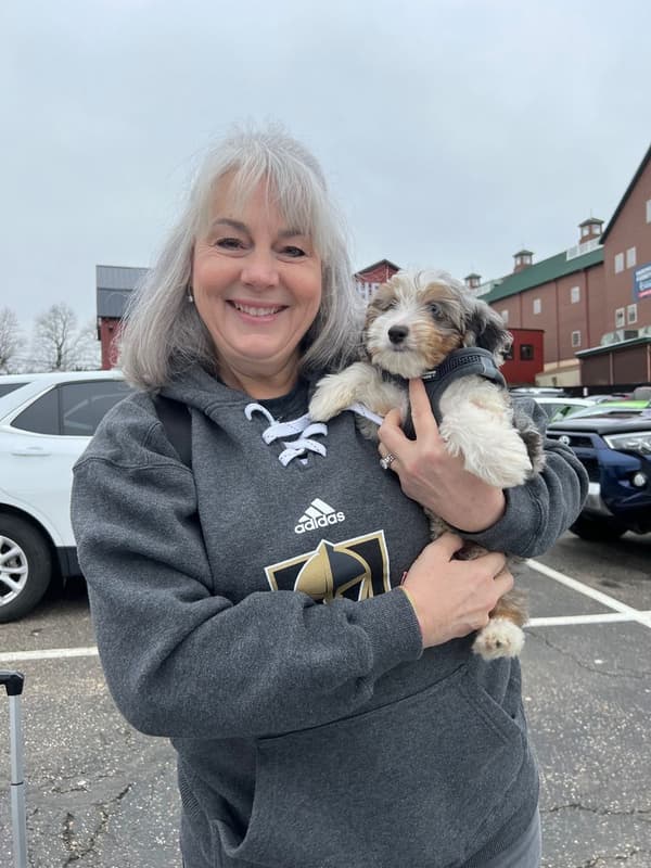 Customer photo of Aussiedoodle puppy from Carol E.