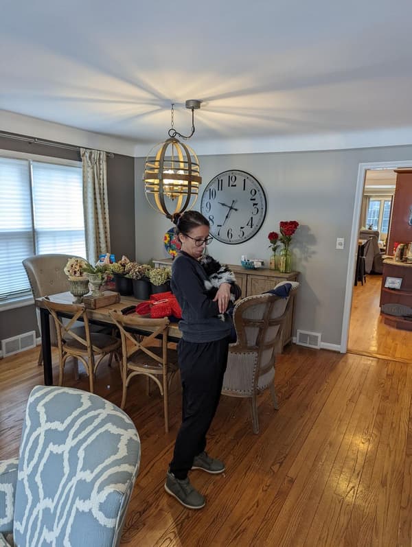 Customer photo of Shih Tzu puppy from Mike M.