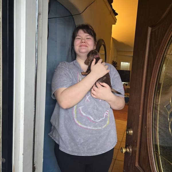 Customer photo of Dachshund, Mini puppy from Maureen F.