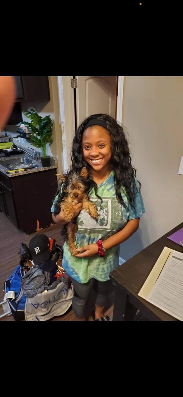 Customer photo of Yorkshire Terrier - Yorkie puppy from Madison W.