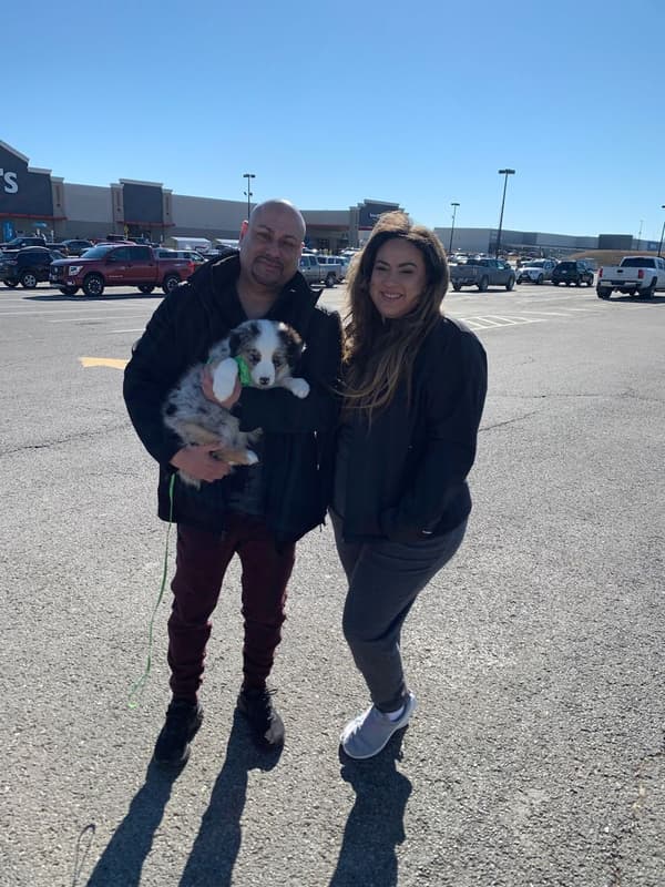 Customer photo of Australian Shepherd puppy from Xaymara R.