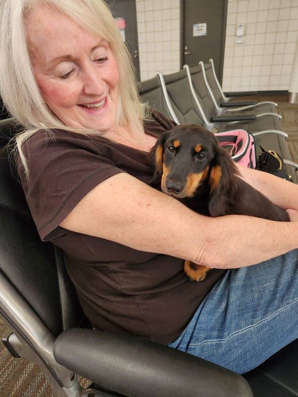 Customer photo of Dachshund, Tweenie puppy from Angela P.