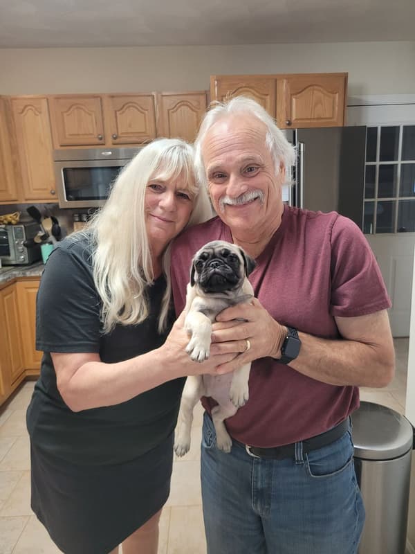 Customer photo of Pug puppy from Sharon M.