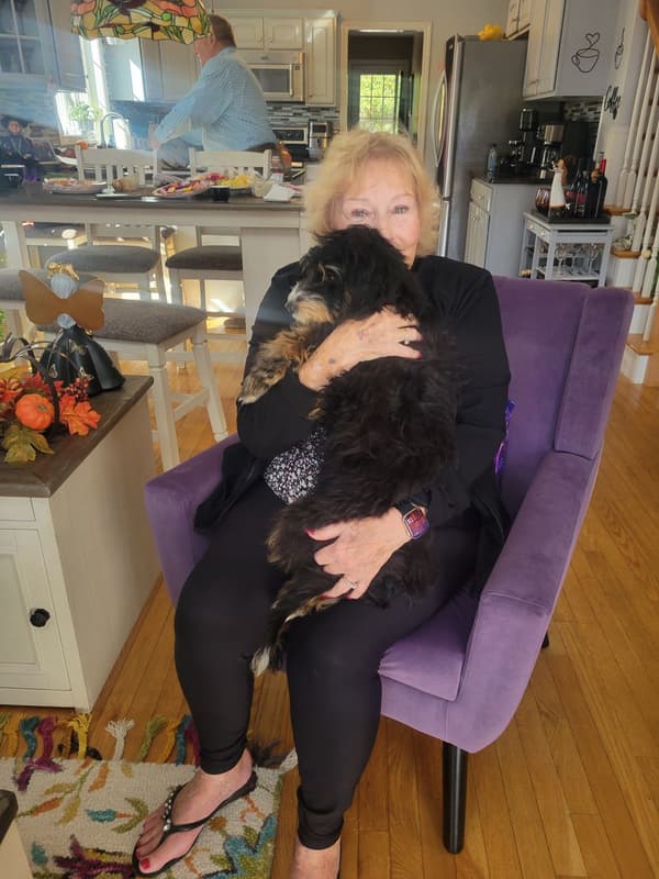 Customer photo of Bernedoodle, Mini puppy from Kathleen B.