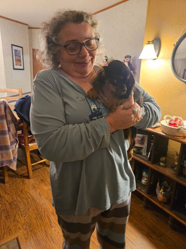 Customer photo of Cavalier King Charles Spaniel puppy from Lisa R.