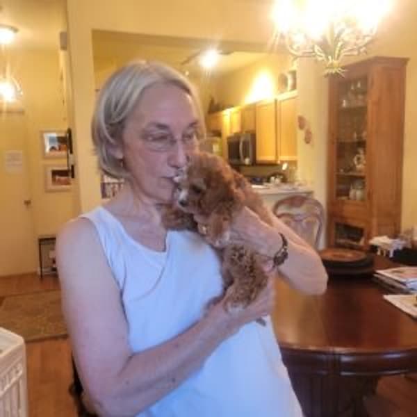 Customer photo of Cavapoo puppy from Glynn A.