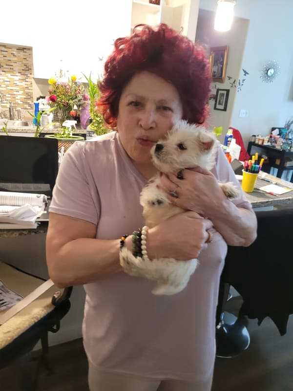 Customer photo of West Highland White Terrier - Westie puppy from Ilynn C.