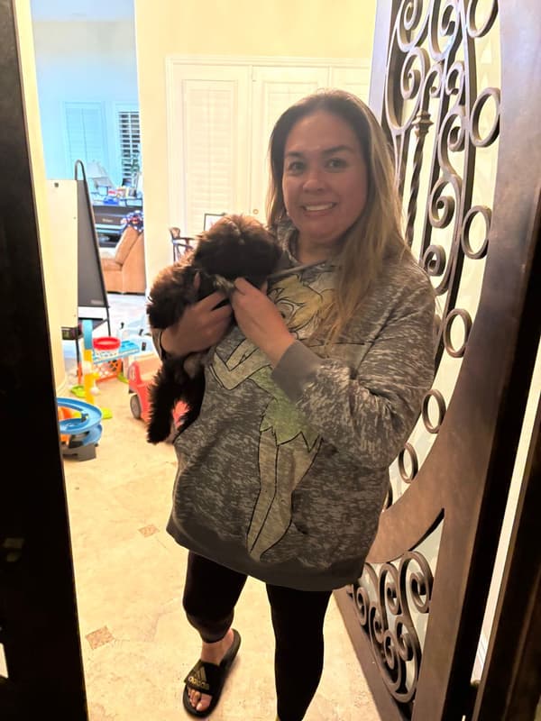 Customer photo of Shih Tzu puppy from Guinevere T.