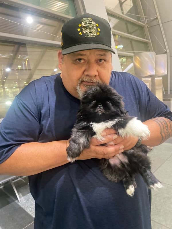 Customer photo of Pekingese puppy from Richard A.