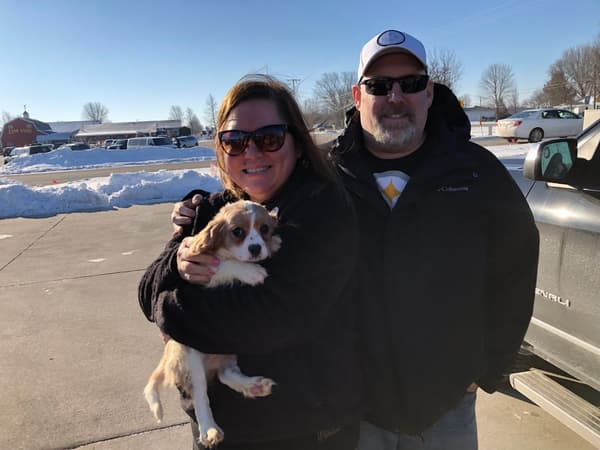 Customer photo of Cavalier King Charles Spaniel puppy from Jenny O.