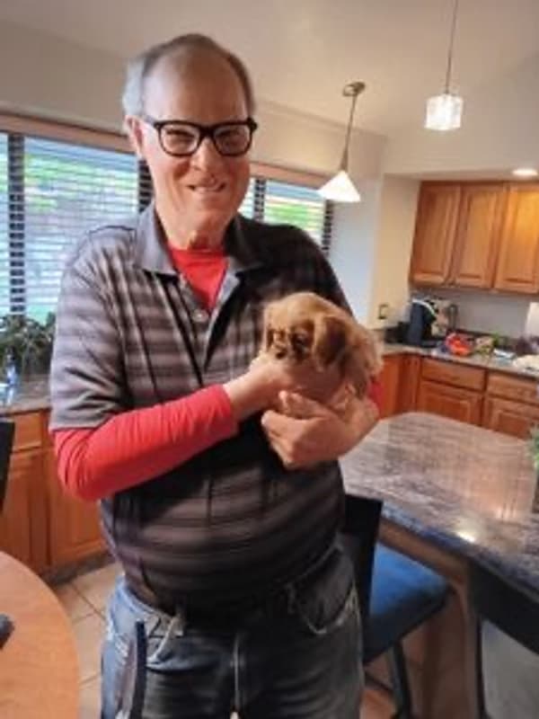 Customer photo of Cavalier King Charles Spaniel puppy from Theo U.