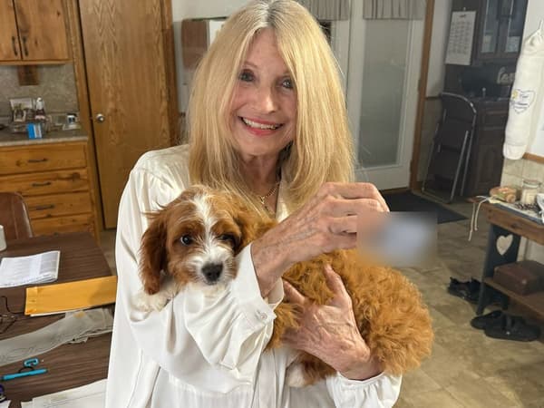 Customer photo of Cavapoo puppy from Lynda B.