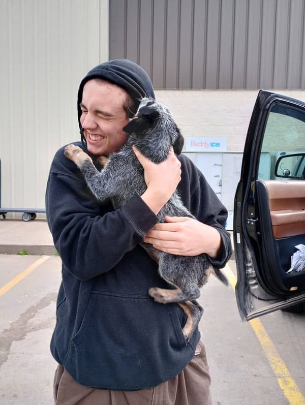 Customer photo of Australian Cattle Dog/Blue Heeler puppy from Keith F.