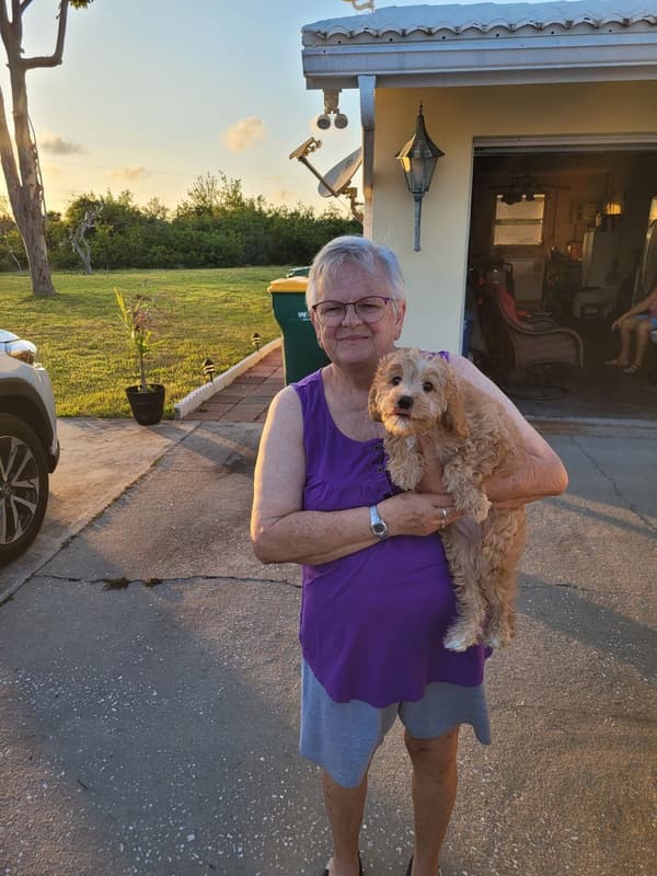 Customer photo of Cavapoo puppy from Theresa L.