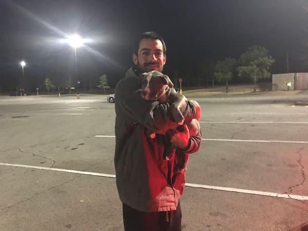 Customer photo of American Bully puppy from Anthony S.