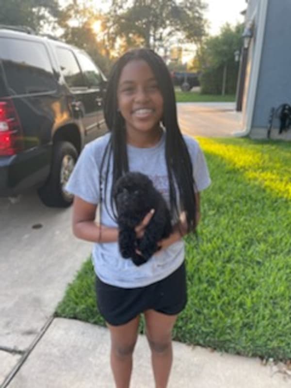 Customer photo of Malti Poo - Maltipoo puppy from Taneah V.