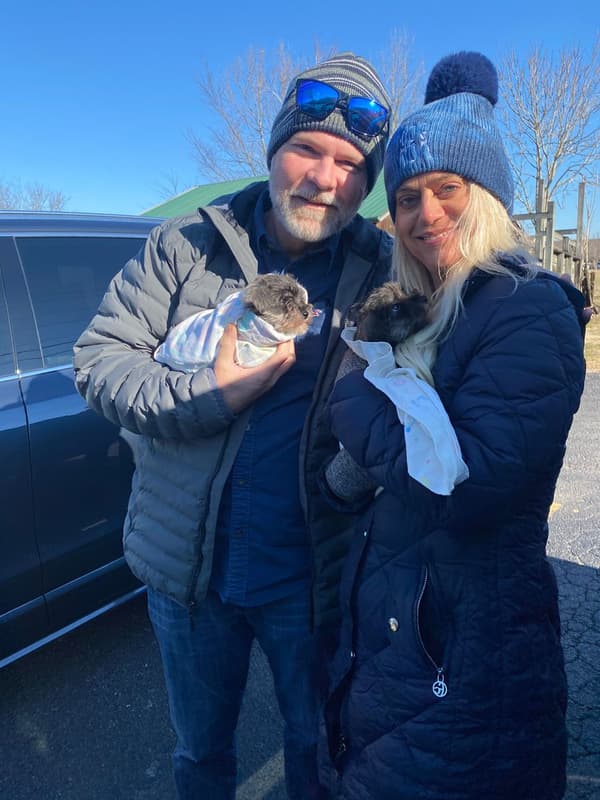 Customer photo of Schnauzer, Miniature puppy from Stephanie D.