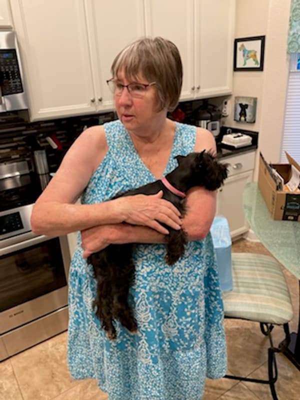 Customer photo of Schnauzer, Miniature puppy from Rhonda A.