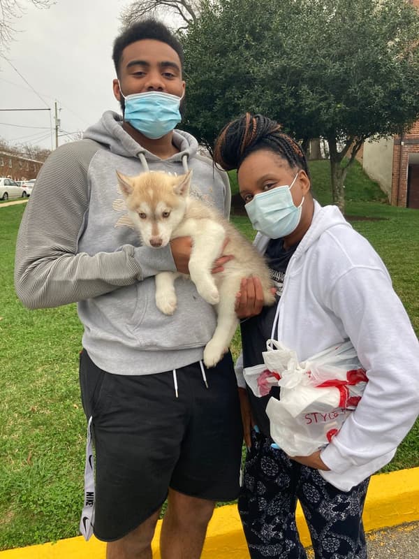 Customer photo of Siberian Husky puppy from Candis D.