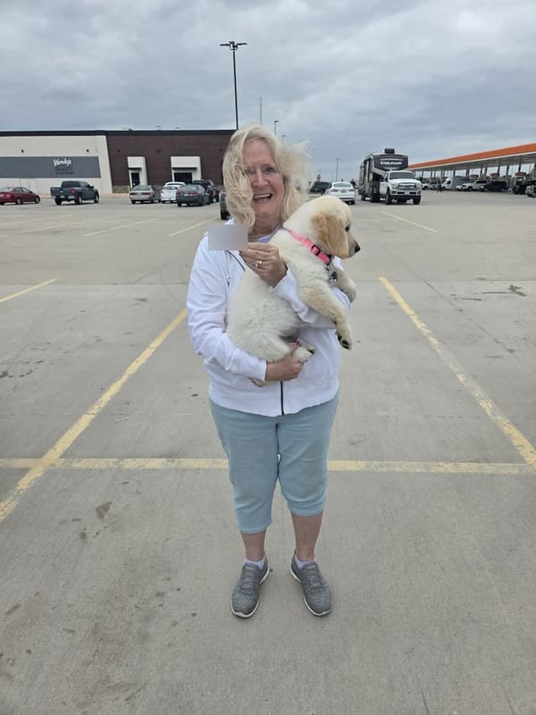 Customer photo of Golden Retriever puppy from Irene P.