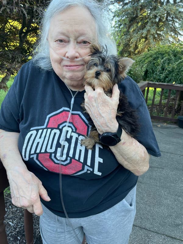 Customer photo of Yorkshire Terrier - Yorkie puppy from Debbie W.