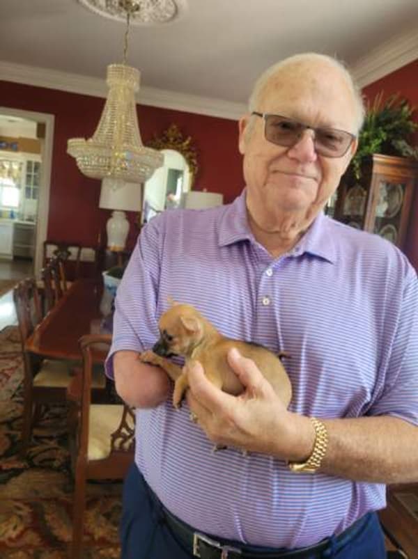 Customer photo of Chihuahua puppy from David R.