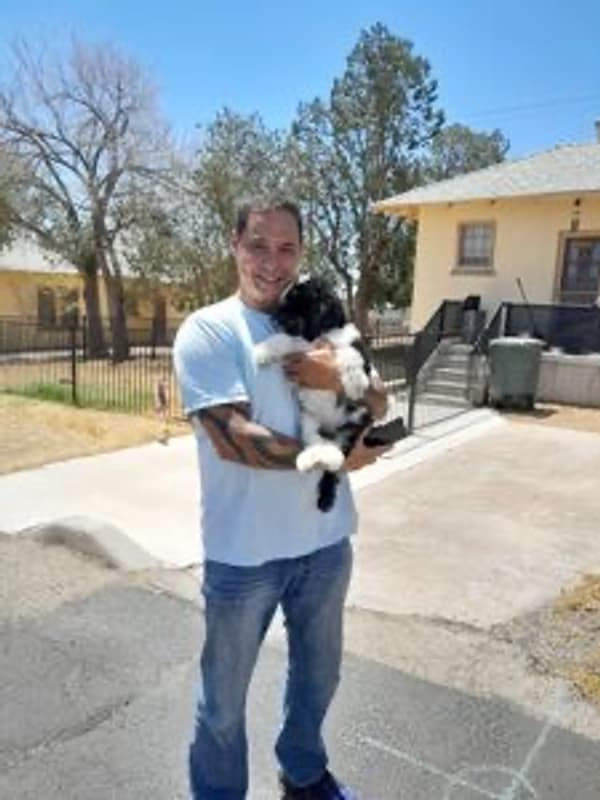 Customer photo of Poodle, Standard puppy from Winston C.