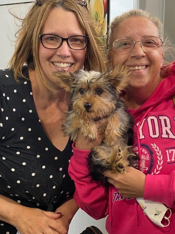 Customer photo of Yorkshire Terrier - Yorkie puppy from Dawn R.