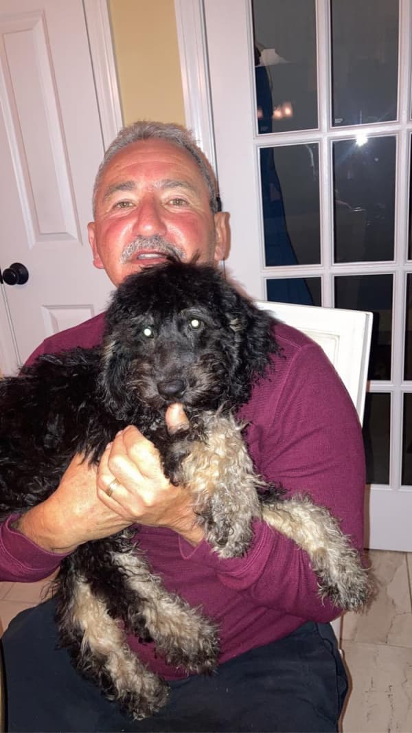 Customer photo of Sheepadoodle puppy from Jim C. 