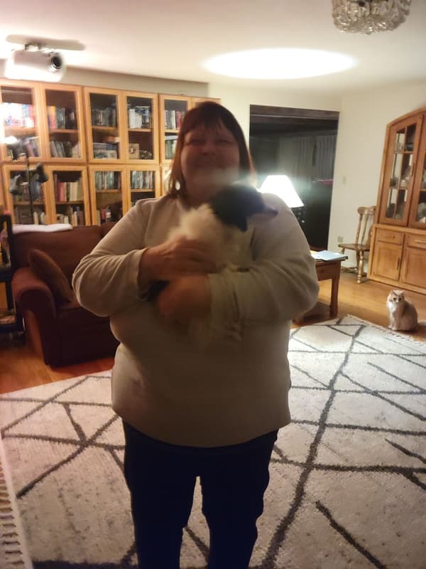 Customer photo of Bich-Poo - Bichpoo puppy from Renee B.