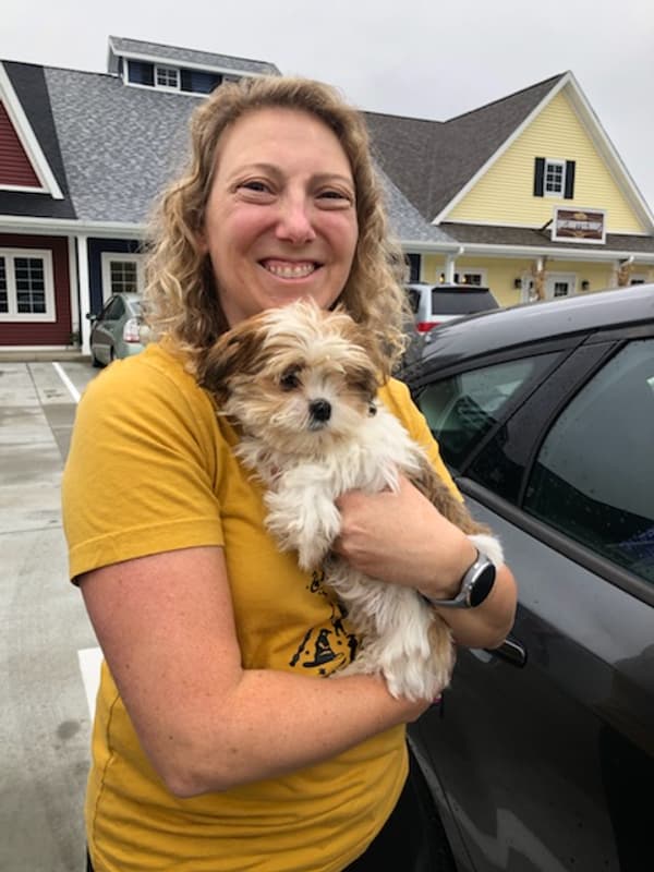 Customer photo of Mal-Shi - Malshi puppy from Melissa B.