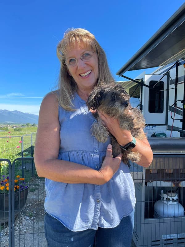 Customer photo of Schnoodle puppy from Tina N.