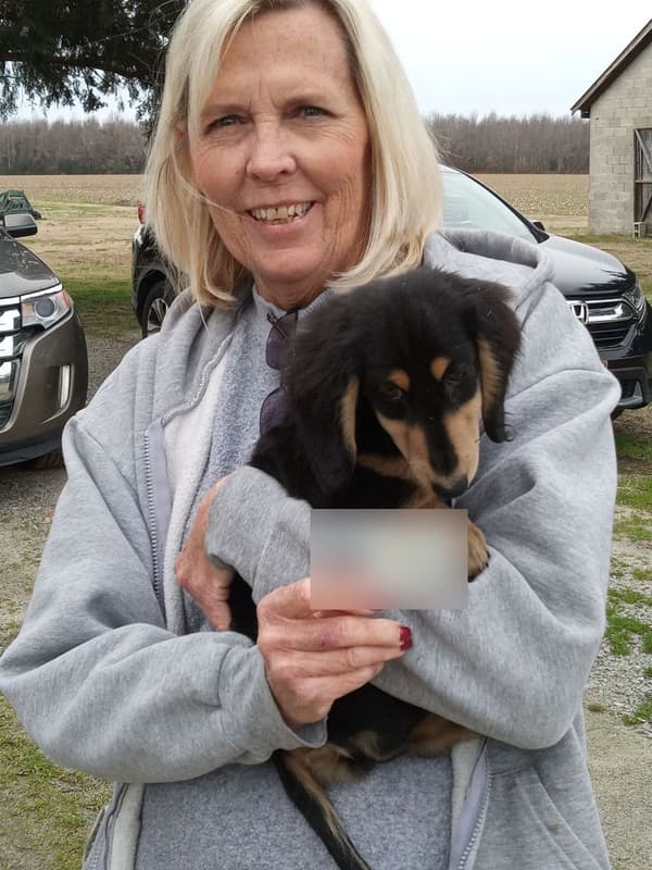 Customer photo of Dachshund, Mini puppy from Jill K.
