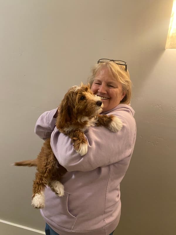 Customer photo of Goldendoodle, Mini puppy from Colleen P.
