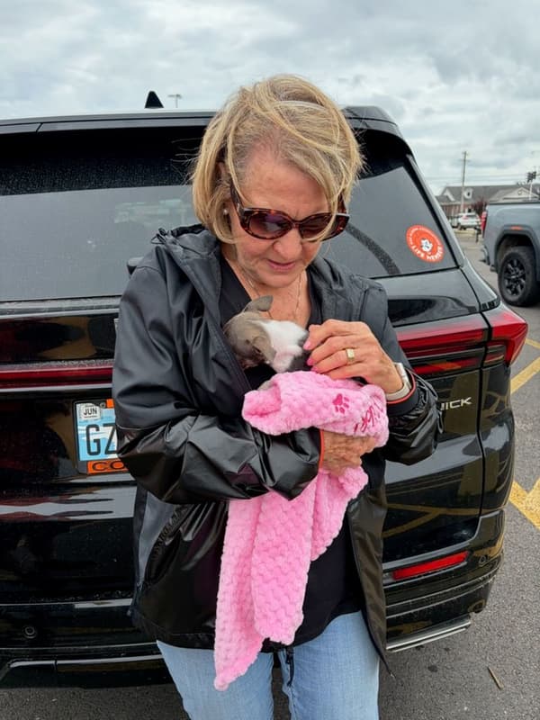 Customer photo of Chihuahua puppy from Gayle B.