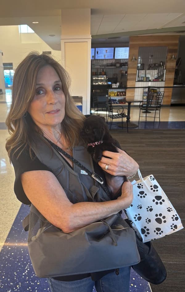 Customer photo of Mixed/Other puppy from Laura V.