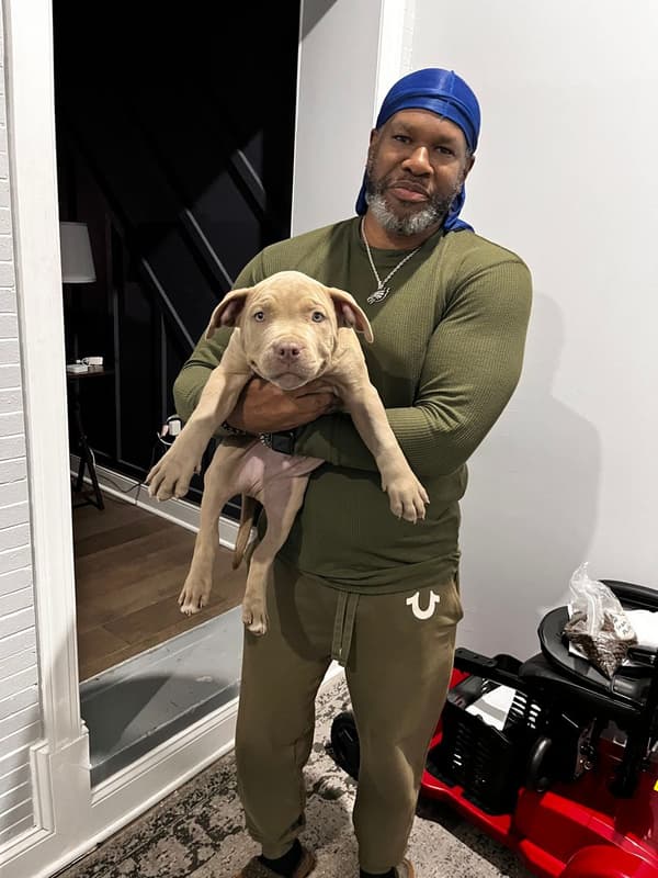 Customer photo of American Bully puppy from Sean B.