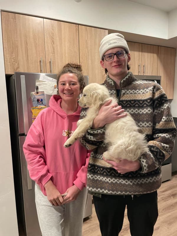 Customer photo of English Golden Retriever puppy from Taylor L.