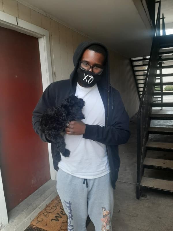 Customer photo of Cockapoo puppy from Salina M.