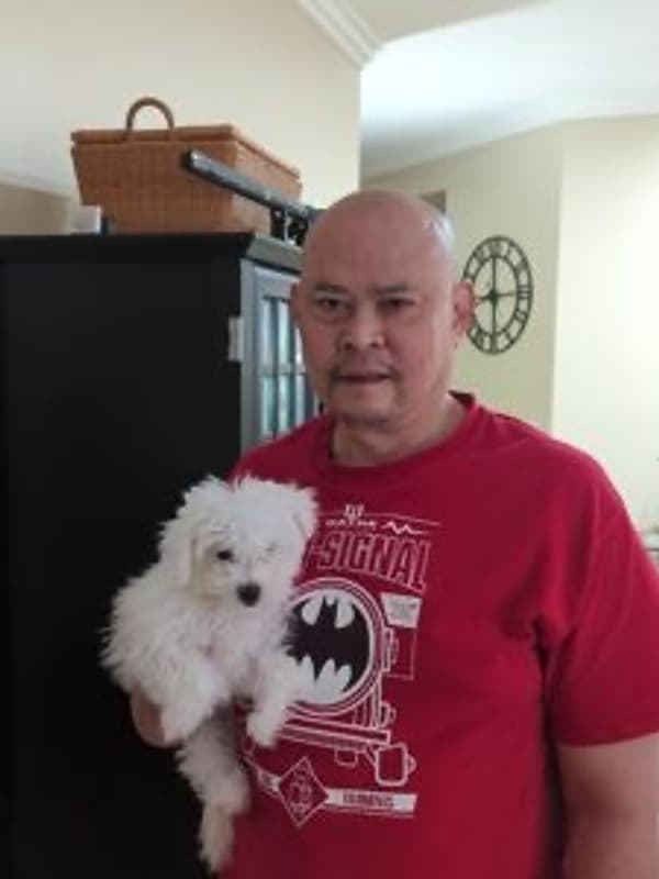 Customer photo of Bichon Frise puppy from Larry B.