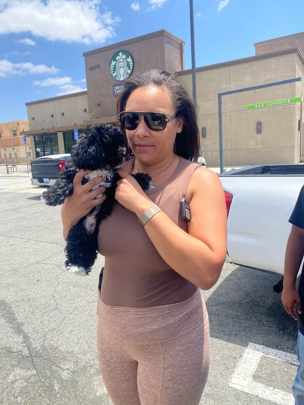 Customer photo of Malti Poo - Maltipoo puppy from Kelley J. 