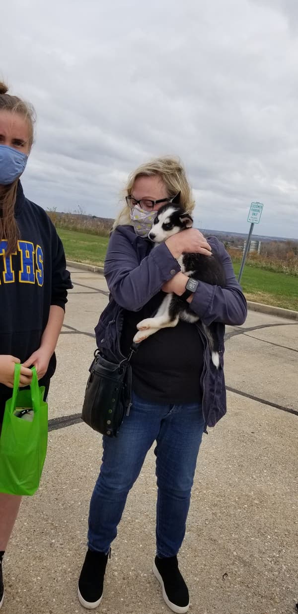 Customer photo of Siberian Husky puppy from Scott E.