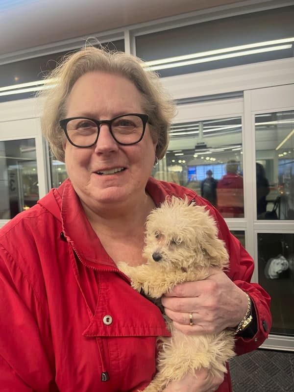 Customer photo of Poodle, Toy puppy from Robin T. 