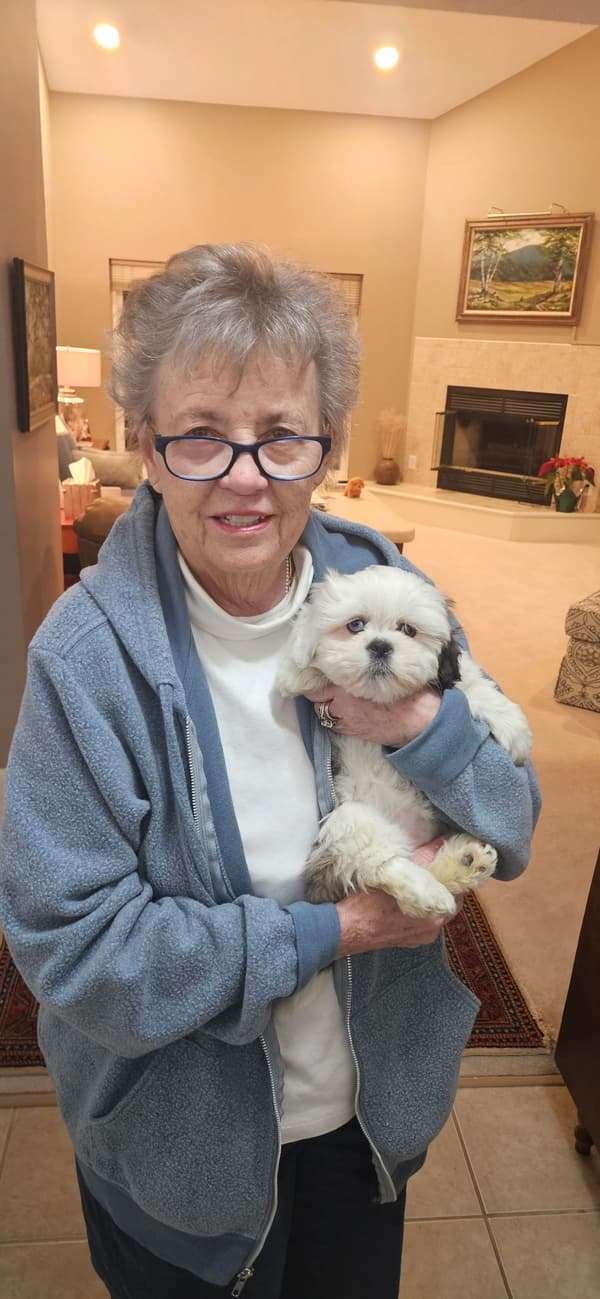 Customer photo of Lhasa Apso puppy from Ann M.