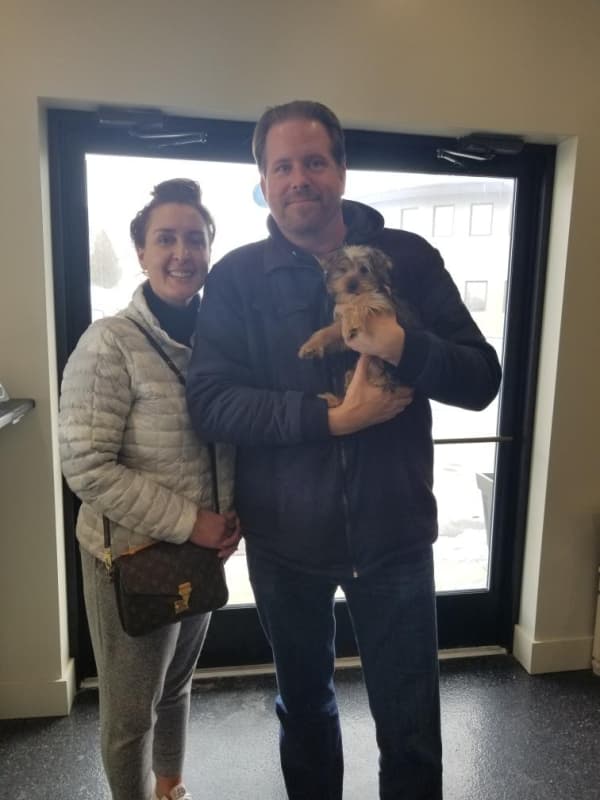 Customer photo of Yorkshire Terrier - Yorkie puppy from Ashley O.