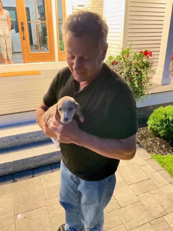 Customer photo of Beagle puppy from Michelle S.